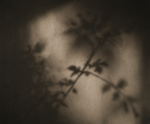 Stanza delle Poesie immagine finale